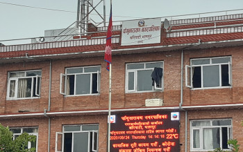 चाँगुनारायणमा बंगुर पाल्न नपाइने, कारण यस्तो छ